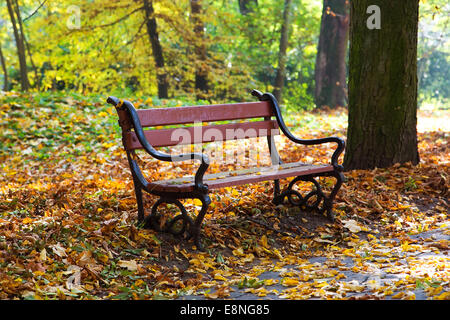 Banc en bois à décor de l'automne Banque D'Images