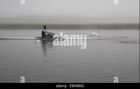 Oxford, UK. 12 octobre, 2014. Une femme et un cygne paddles le long de la rivière brumeuse à Port Meadows, Oxford Credit : Crédit : Pete/Lusabia Alamy live news Banque D'Images