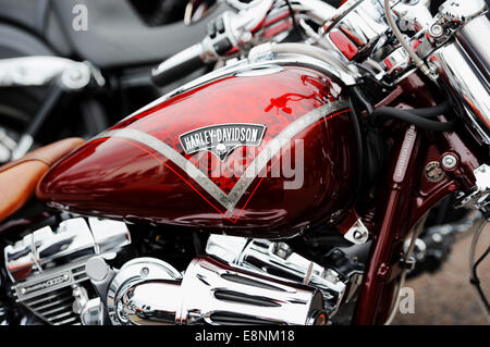 Brighton, Sussex, UK. 12 octobre, 2014. Des milliers de motocyclistes arrivent sur le front de mer de Brighton pour cette ans Brightona événement qui amasse des fonds pour la charité du coeur de Sussex l'événement annuel attire des cyclistes de tout le pays et à l'étranger et soulève des milliers de livres pour des organismes de bienfaisance chaque année Crédit : Simon Dack/Alamy Live News Banque D'Images