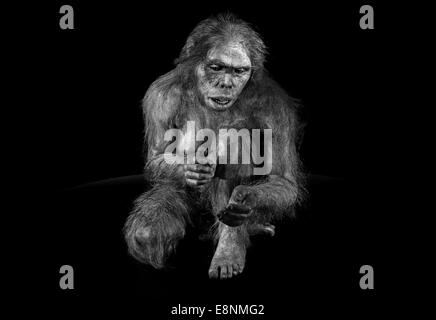 Espagne, Burgos : amour humain de "Lucy" (Australopithecus afarensis) dans le Musée de l'évolution humaine en version noir et blanc Banque D'Images