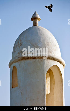 Un oiseau l'atterrissage sur un minaret à Al Wakra, Doha, Qatar Banque D'Images