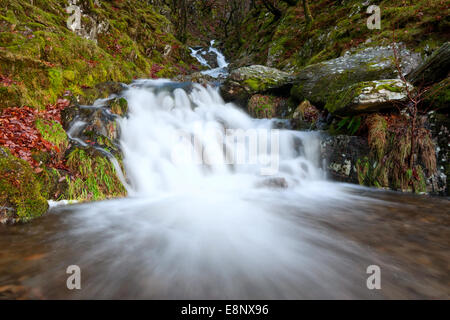L'eau s'écoule vers le bas l'une des petites chutes d'eau dans la vallée de l'Elan Banque D'Images