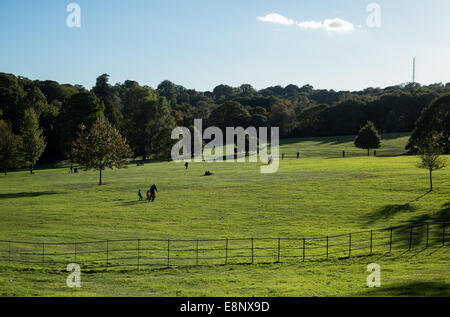 Les gens profiter du beau temps dans la région de Hampstead Heath à Londres en fin d'après-midi. Banque D'Images