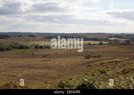 Bas Latchmore entre Fritham de Hampton Ridge et Frogham près de New Forest Hampshire Angleterre Fordingbridge Banque D'Images