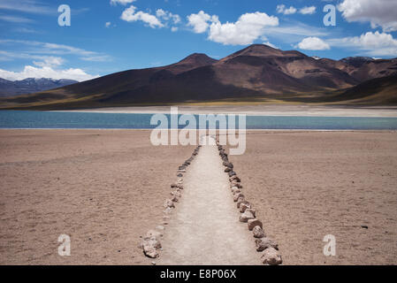 Laguna Miscanti, le sud de l'Altiplano, haut désert d'Atacama, au Chili, en Amérique du Sud. Banque D'Images