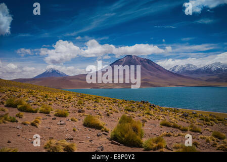 Laguna Miscanti, le sud de l'Altiplano, haut désert d'Atacama, au Chili, en Amérique du Sud. Banque D'Images