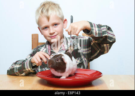 Enfant garçon blond assis à la table à manger avec des couverts cochon (viande crue) assis sur une plaque rouge Banque D'Images