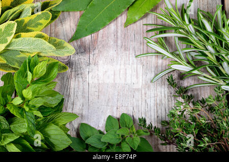 Les herbes fraîchement récoltées, les herbes châssis sur fond de bois. Copyspace. Banque D'Images