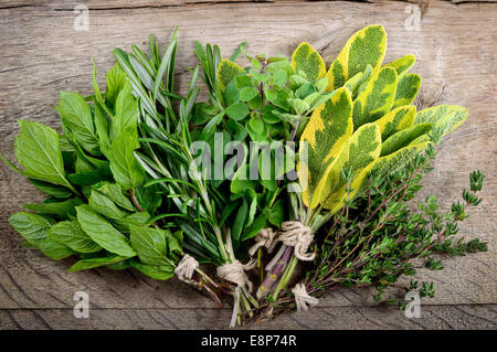 Les herbes fraîchement récoltées, tas d'herbes fraîches sur fond de bois. Banque D'Images