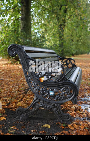 Les feuilles d'automne autour d'un banc de parc noir Banque D'Images