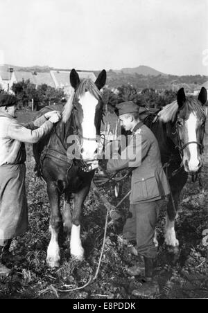 Le tableau de la propagande nazie montre des soldats allemands qui aident les agriculteurs à récolter dans les Sudètes en octobre 1939. Le texte original du rapport nazi au dos de la photo se lit comme suit: "Les soldats allemands aident les agriculteurs pendant la récolte. Avec des forces unifiées, la récolte est introduite dans les Sudètes. Le cheval de l'artillerie est attaché à la charrue, parce que les Tchèques ont enlevé les chevaux des fermiers lors de leur mobilisation. Fotoarchiv für Zeitgeschichtee - PAS DE SERVICE DE FIL Banque D'Images