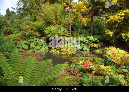 Jardins perdus de Heligan, Mevagissey, Cornwall, Angleterre, Royaume-Uni Banque D'Images