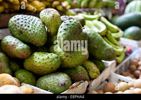 Corossol fruit sur le marché asiatique, les Philippines. Annona muricata assortiment en vente Banque D'Images