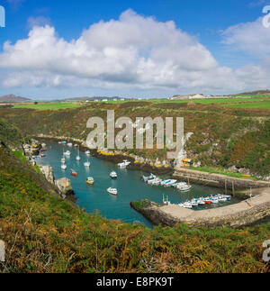 Porthclais inlet près de St Davids sur la côte de Pembrokeshire. Banque D'Images