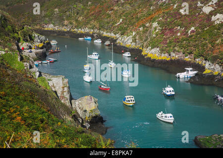 Porthclais inlet près de St Davids sur la côte de Pembrokeshire. Banque D'Images