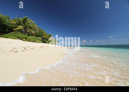 Plage de sable blanc tropicales vide Banque D'Images