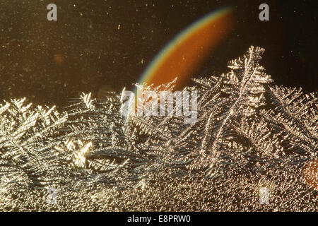 Frost traceries croissant sur une fenêtre. Banque D'Images