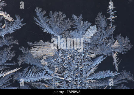 Frost traceries croissant sur une fenêtre. Banque D'Images