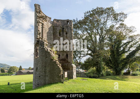 Ruines du château de Crickhowell, Powys, Wales, UK Banque D'Images