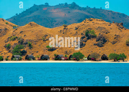 L’île de Komodo Banque D'Images