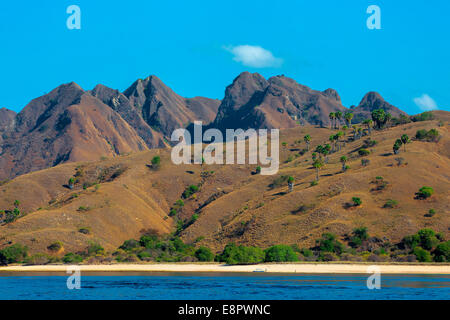 L’île de Komodo Banque D'Images