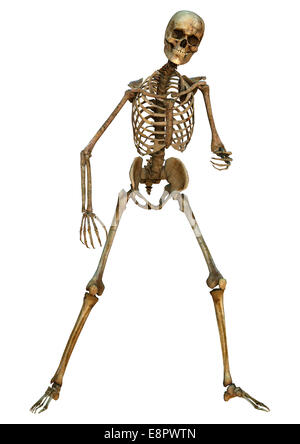 Rendu 3D d'un vieux squelette humain isolé sur fond blanc Banque D'Images