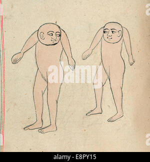 Cette image représente deux humains sans cou de l'œuvre d'Al-Qazwini *Aja'IB al-Makhluqat wa Gharayib al-Mawjudat* (les merveilles de la création et les bizarreries de l'existence), une traduction persane du texte du XIIIe siècle. L'illustration est extraite d'une copie du XIXe siècle créée en Inde, qui fait partie de la collection de la Bibliothèque nationale de médecine. Banque D'Images