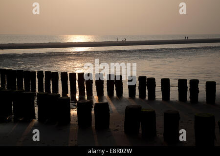 Coucher du soleil sur une plage avec les pôles d'une aine, Westenschouwen, Schouwen-Duiveland, Zélande, Pays-Bas Banque D'Images