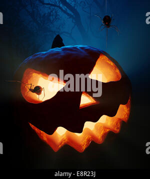 Citrouille Halloween ( Jack O'lantern ) avec les araignées dans les bois Banque D'Images