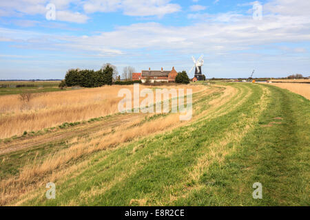 Le bras de Berney Fabrique de drainage dans les conseils National Park, Norfolk, Angleterre. Banque D'Images