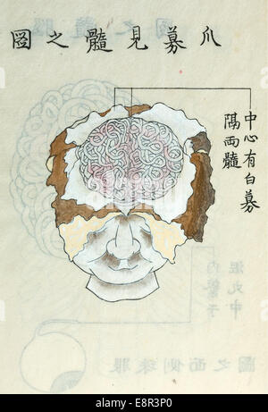 Apparaît dans : Kawaguchi, Shinnin, 1736-1811. Hen Kaishi Image Description : Dessin d'un cerveau humain exposés en rétractant le mem Banque D'Images