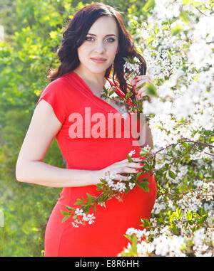 Magnifique Portrait de femme enceinte en robe rouge dans le parc printemps floraison Banque D'Images