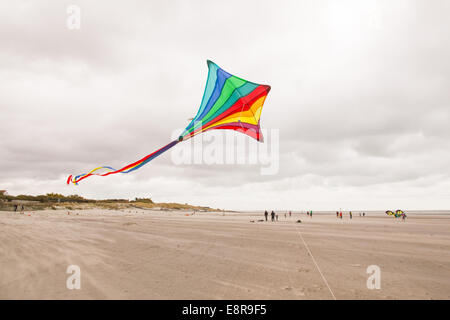 Le cerf-volant sur la plage de West Wittering, West Sussex, Angleterre, Royaume-Uni. Banque D'Images