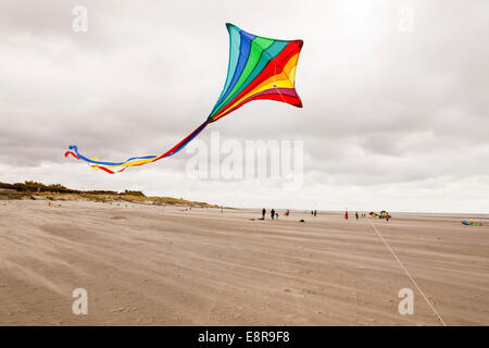 Le cerf-volant sur la plage de West Wittering, West Sussex, Angleterre, Royaume-Uni. Banque D'Images