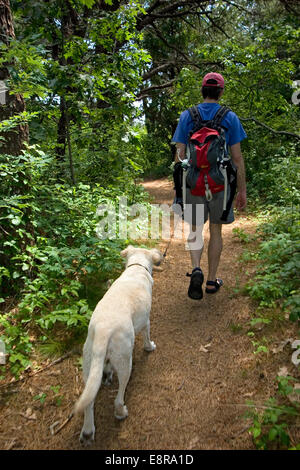 Homme marchant avec chien labrador jaune en hiver woods Banque D'Images
