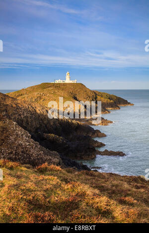 Le phare de Strumble Head dans le Pembrokeshire Coast National Park. Banque D'Images