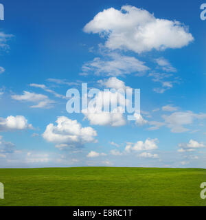 Paysage de printemps avec green field and blue sky Banque D'Images