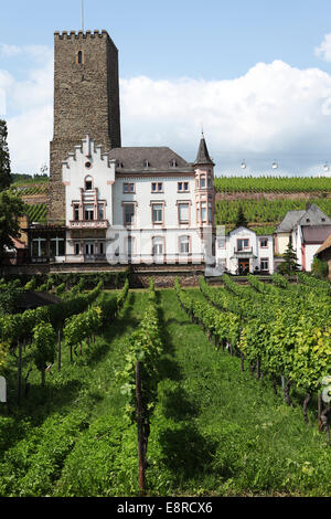 Château Boosenburg à Ruedesheim, Allemagne. Banque D'Images