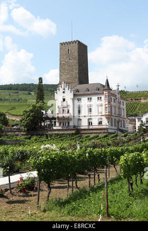 Château Boosenburg à Ruedesheim, Allemagne. Banque D'Images