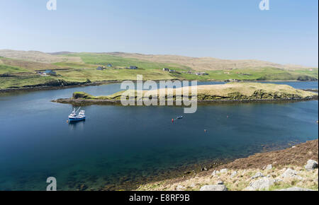 Muckle Roe, une petite île des Îles Shetland, vue sur les Re Son, îles Shetland, en Écosse. Banque D'Images