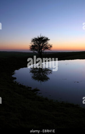 Étang de rosée sur les South Downs au crépuscule. Banque D'Images