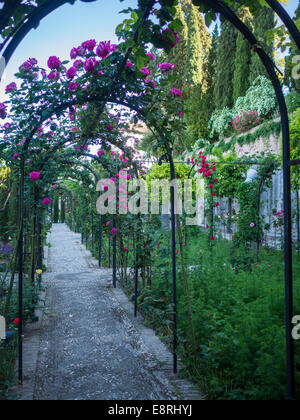 Des jardins du Generalife Banque D'Images