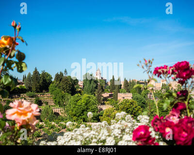 Des jardins du Generalife Banque D'Images