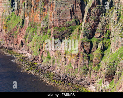 Les falaises de Hoy Island près de l'ancien homme de Hoy, vue sur les falaises et Brough Brae Saint John's Head, îles Orcades, en Écosse. Banque D'Images