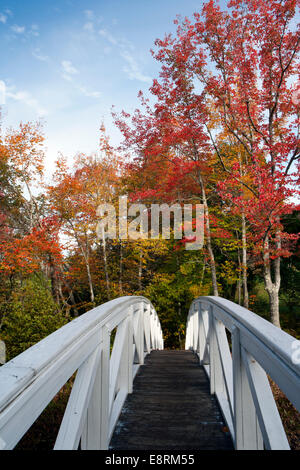 Somesville Bridge - Village Somesvillle, Mount Desert Island, Maine, USA Banque D'Images