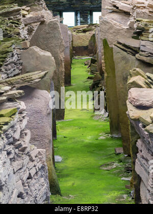 Midhowe chambré, un Cairn Cairn néolithique de l'Orkney-Cromarty chambré type sur l'île de Rousay, îles Orcades, en Écosse. Banque D'Images