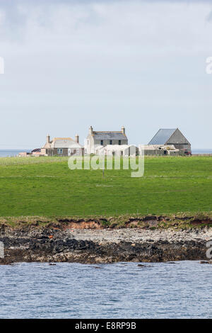 Ferme sur la mine Westray, une petite île de l'archipel des Orcades, îles Orcades, en Écosse. Banque D'Images