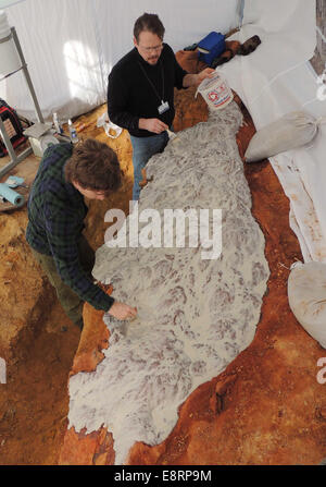 L'équipe du Goddard Space Flight Center de la NASA, dirigée par Michael Godfrey et Perry Carsley, applique un composé de moulage en caoutchouc silicone pour préserver les empreintes de dinosaures découvertes sur le site. Le processus de conservation aide à l'étude des fossiles de l'ère Crétacé. Banque D'Images