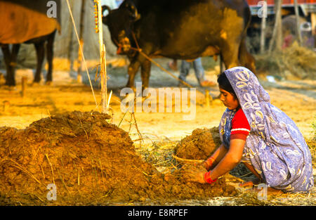 Juste des animaux chaque année dans la région de sonepur Bihar en Inde Banque D'Images