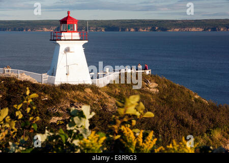 Phare du cap Enragé - Nouveau-Brunswick, Canada Banque D'Images